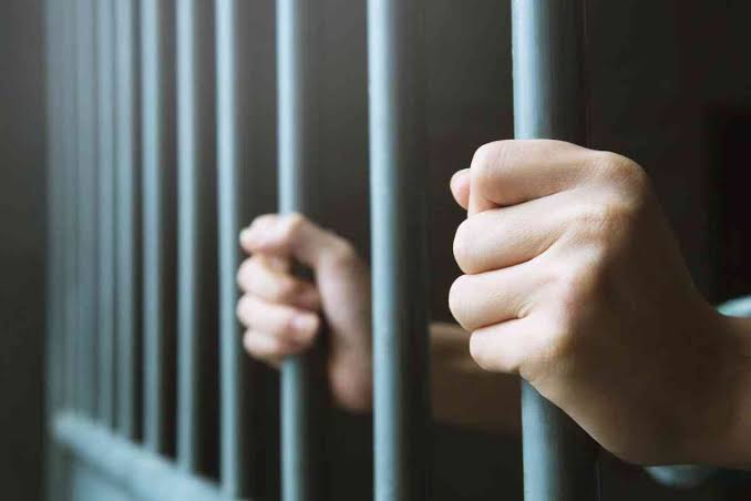 السجن المشدد 5 سنوات لمتهم بالتزوير فى محرر رسمى فى سوهاج