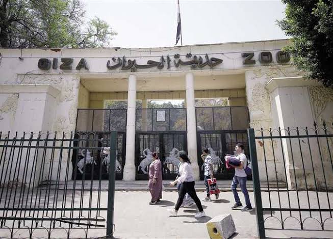 ١٠٣ ألف زائر لحديقة الحيوان في عيد الفطر المبارك