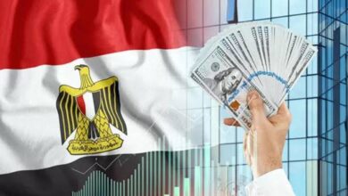 جذب الاستثمارات الاجنبية رغم شدة الضغوط الاقتصادية