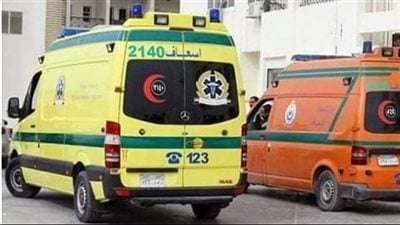 مصرع شخصين نتيجة انقلاب ميكروباص بطريق الفيوم الصحراوي