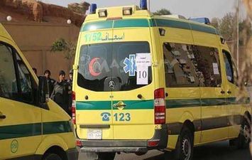 مصرع شخص بحادث تصادم فى الفيوم