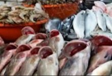 ارتفاع البلطي وتراجع المكرونة في سوق العبور اليوم