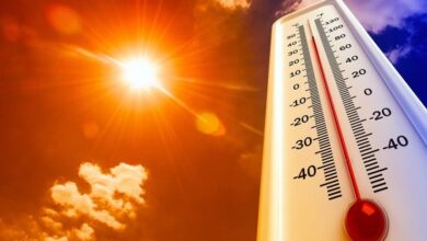 طقس شديد الحرارة غدًا واضطراب بالملاحة البحرية