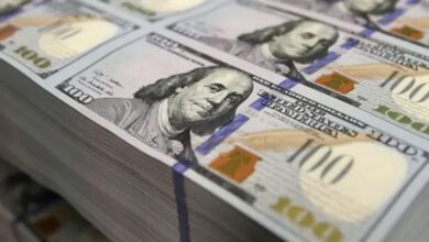استقرار سعر الدولار أمام الجنيه المصري اليوم