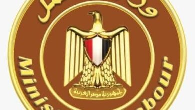 وزير العمل: 1.54 مليار جنيه دعمًا للعمالة غير المنتظمة
