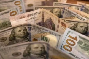 استقرار الدولار بالبنوك المصرية اليوم